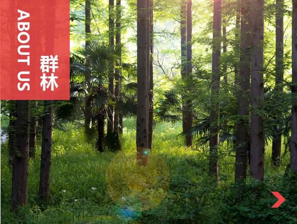 什么叫刨花板？